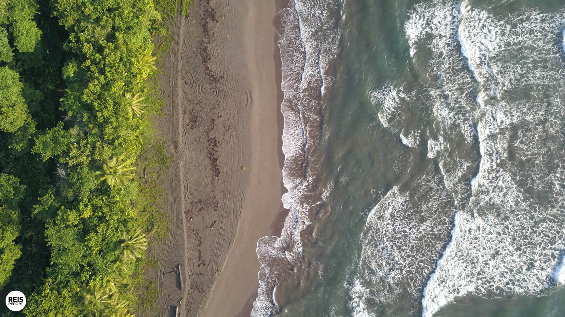 tortuguero costa rica strand