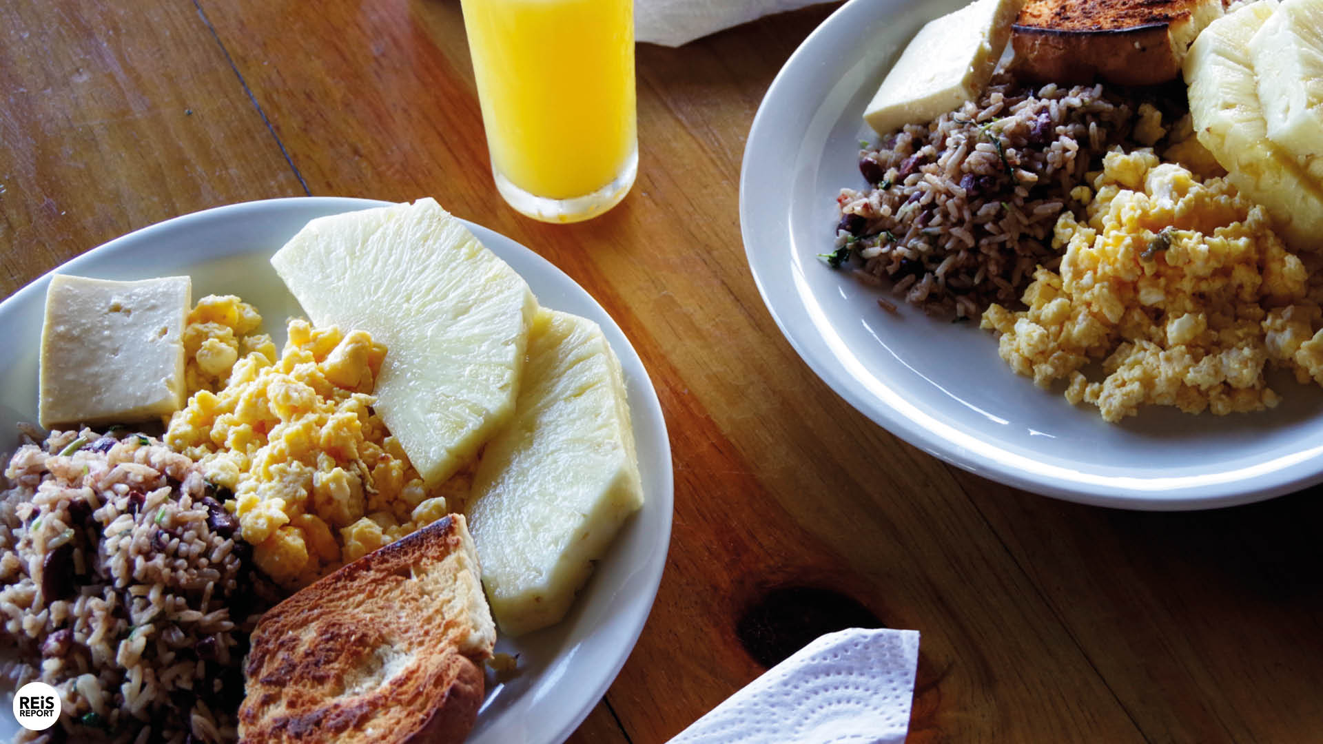 tortuguero excursie costa rica