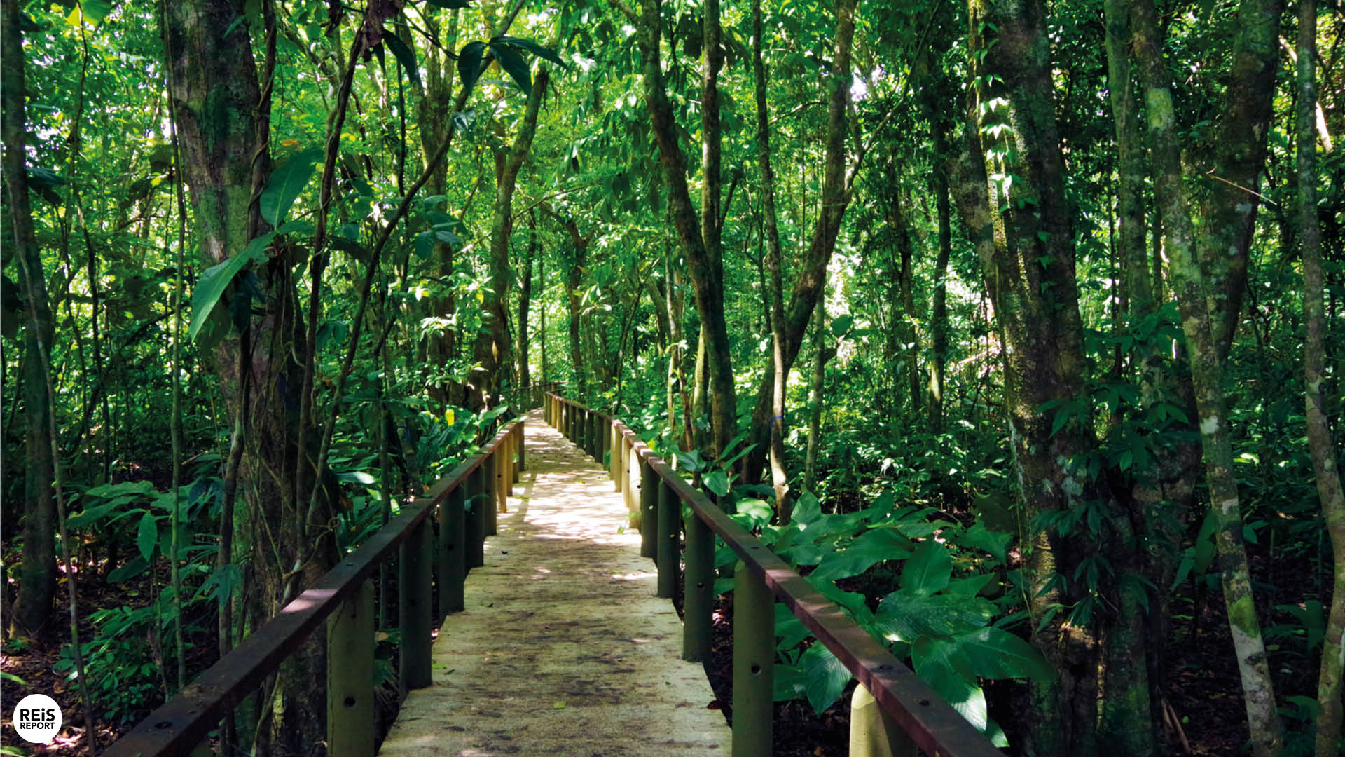 tortuguero wandeling