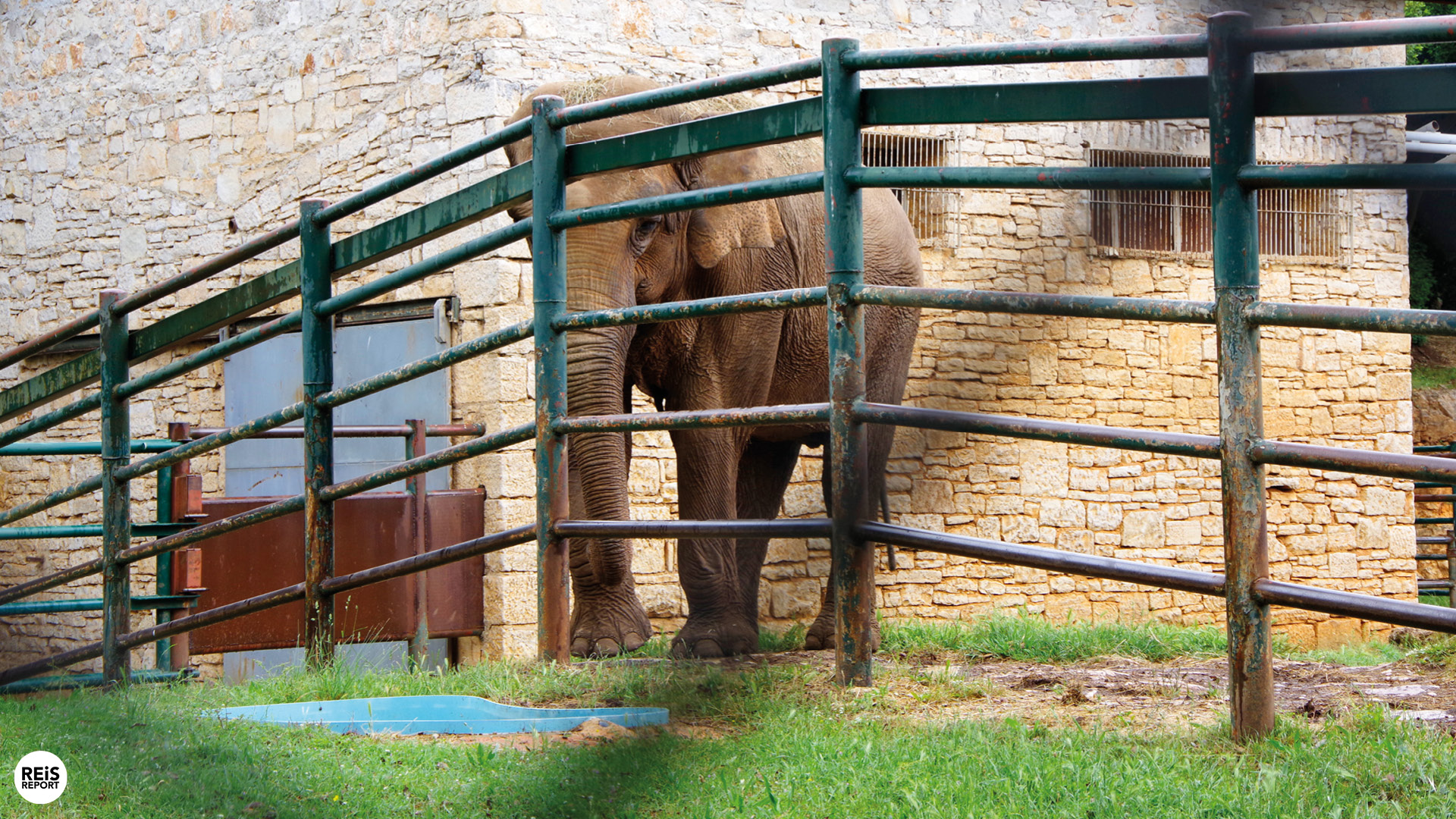 brijuni nationaal park kroatie
