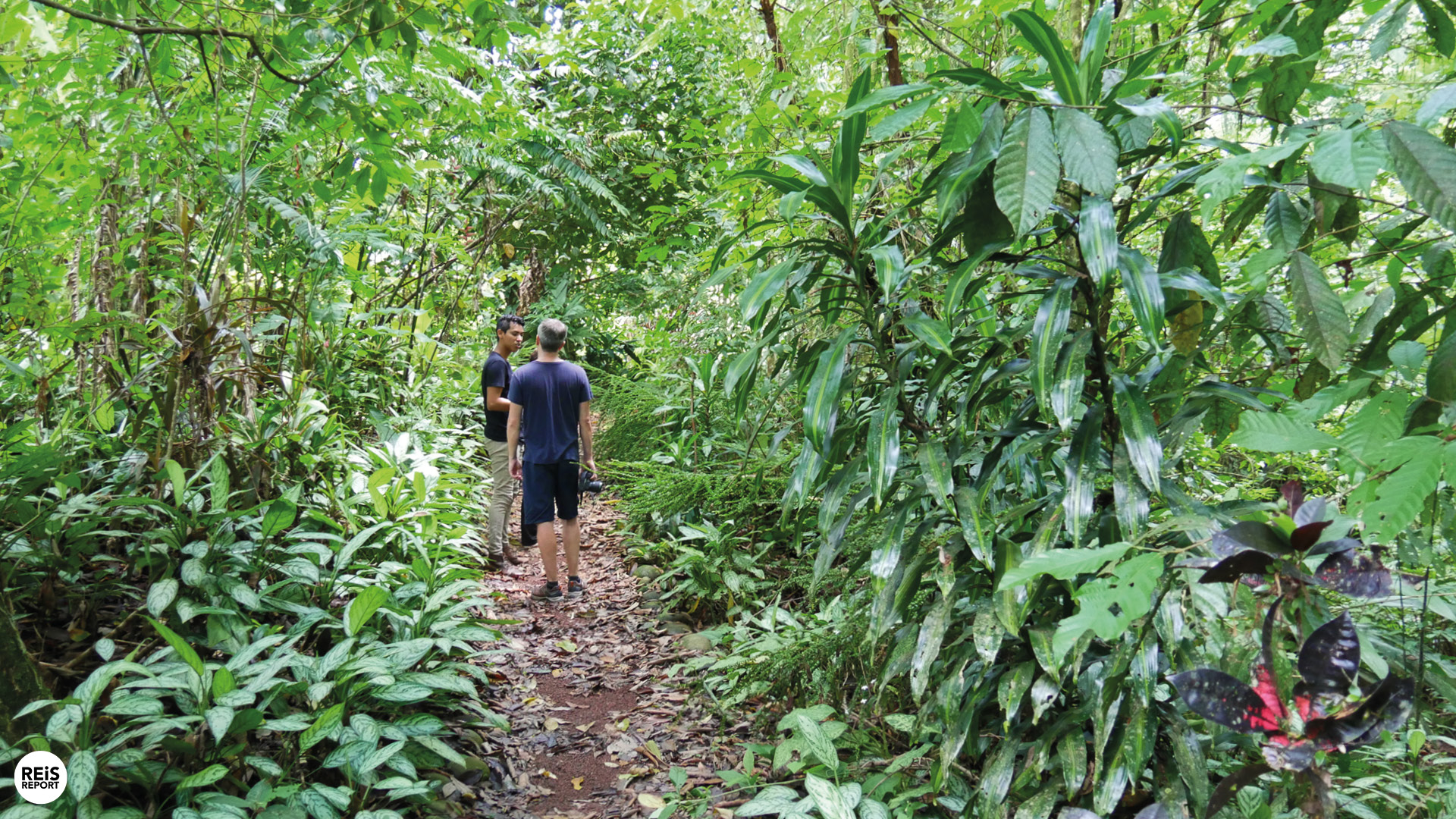 excursie costa rica boerderij