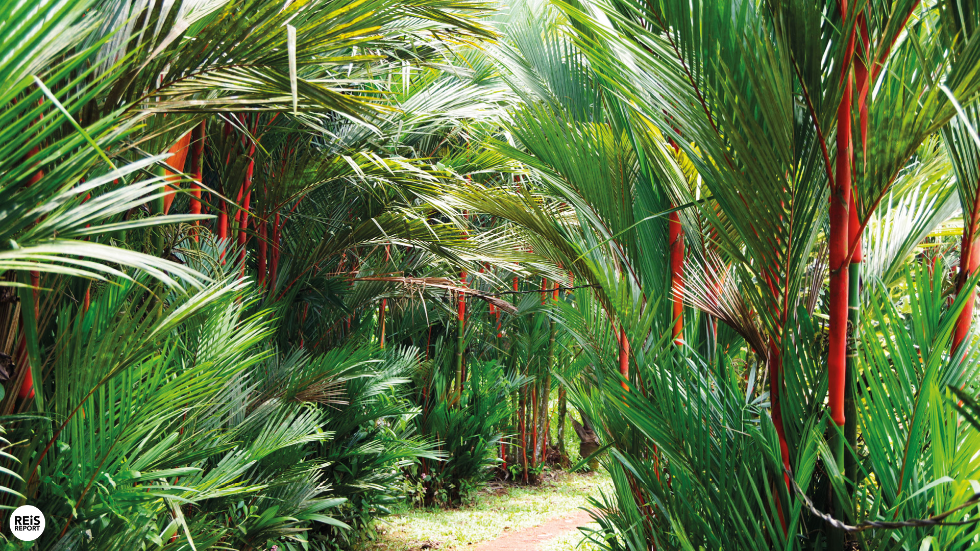 excursie costa rica boerderij