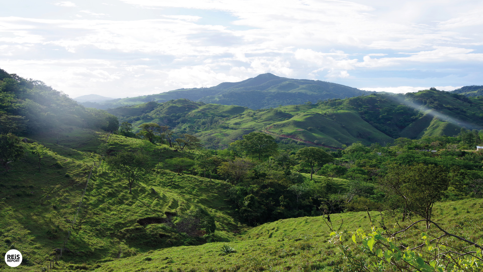 monteverde costa rica wat te doen