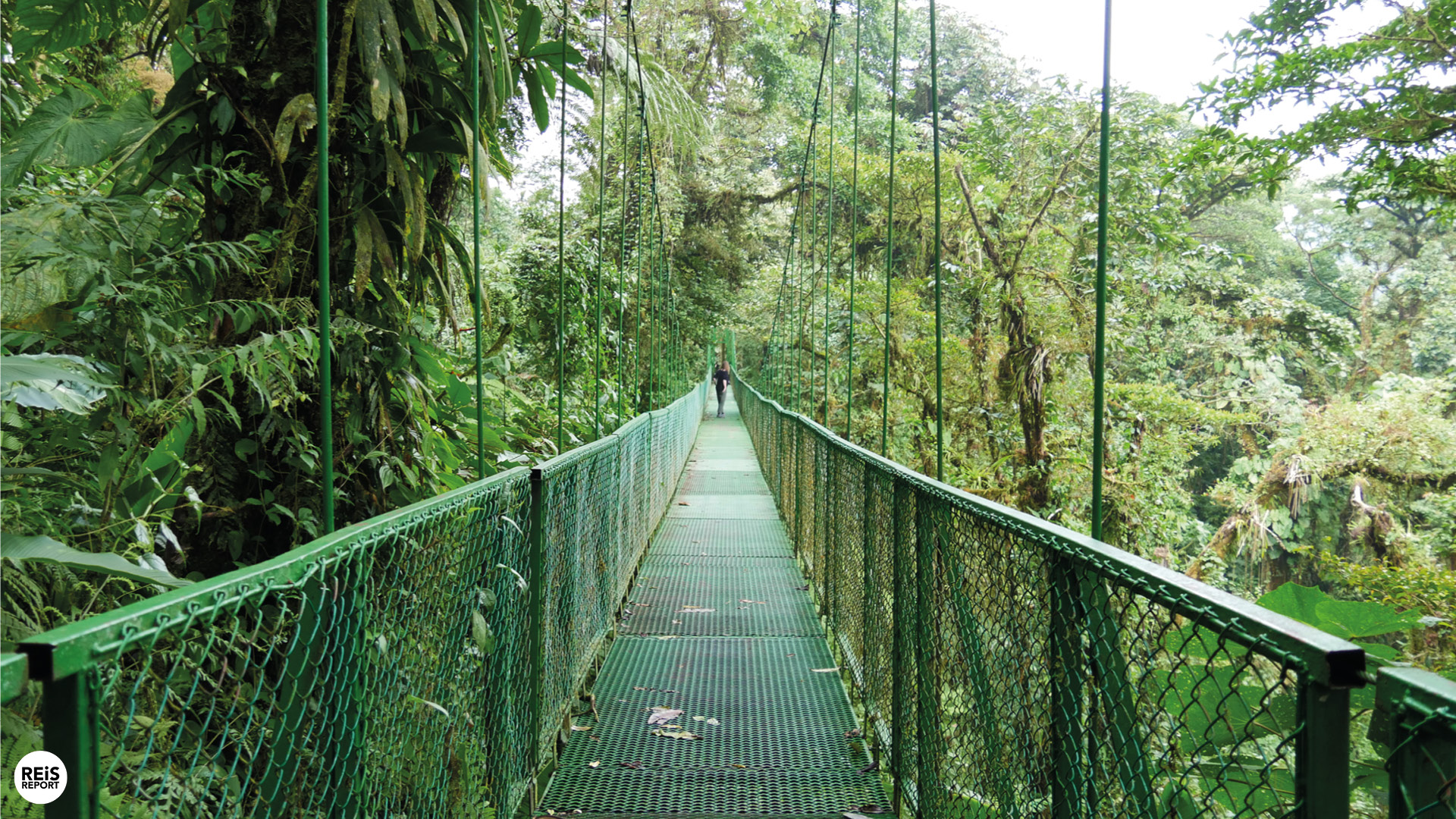 monteverde hangbruggen costa rica