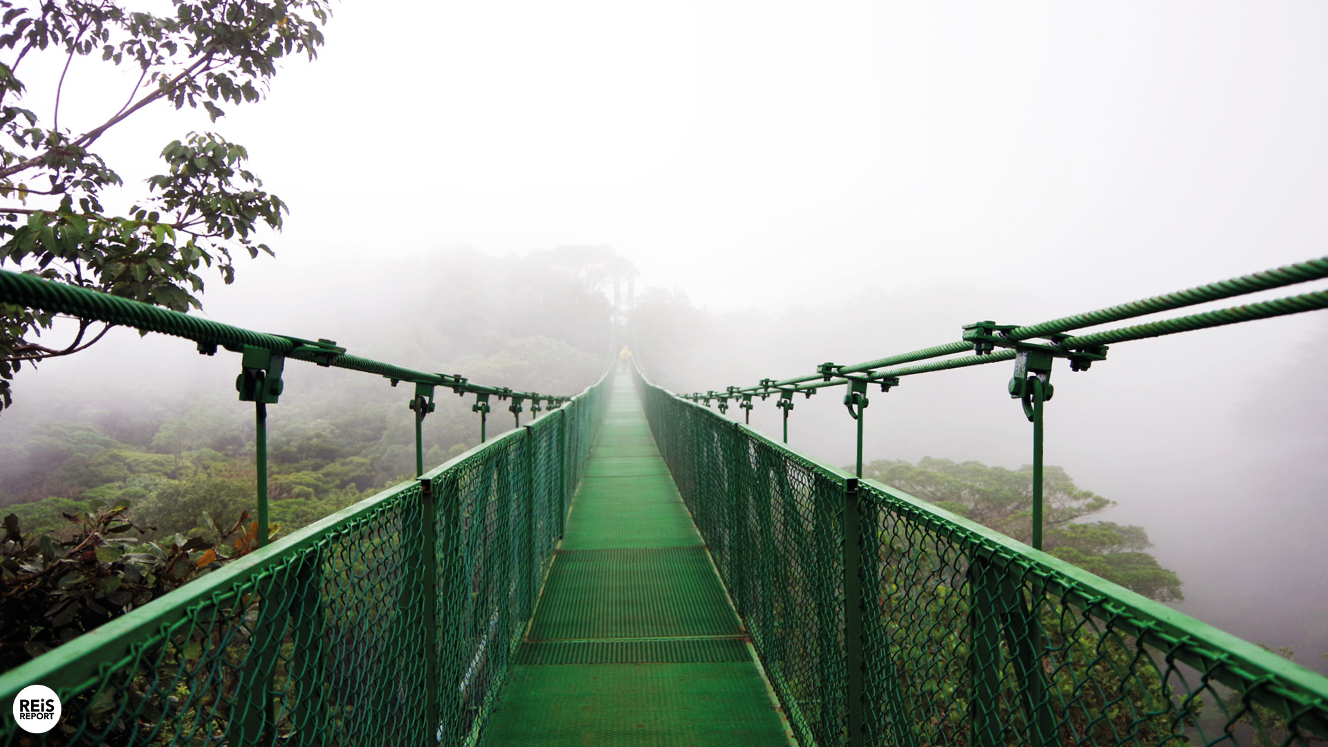 monteverde hangbruggen costa rica