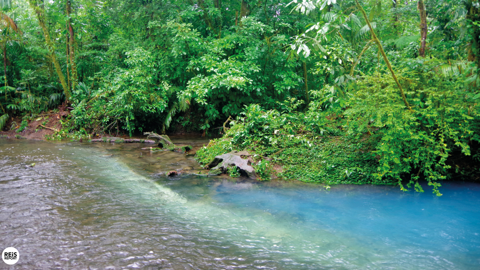rio de celeste costa rica