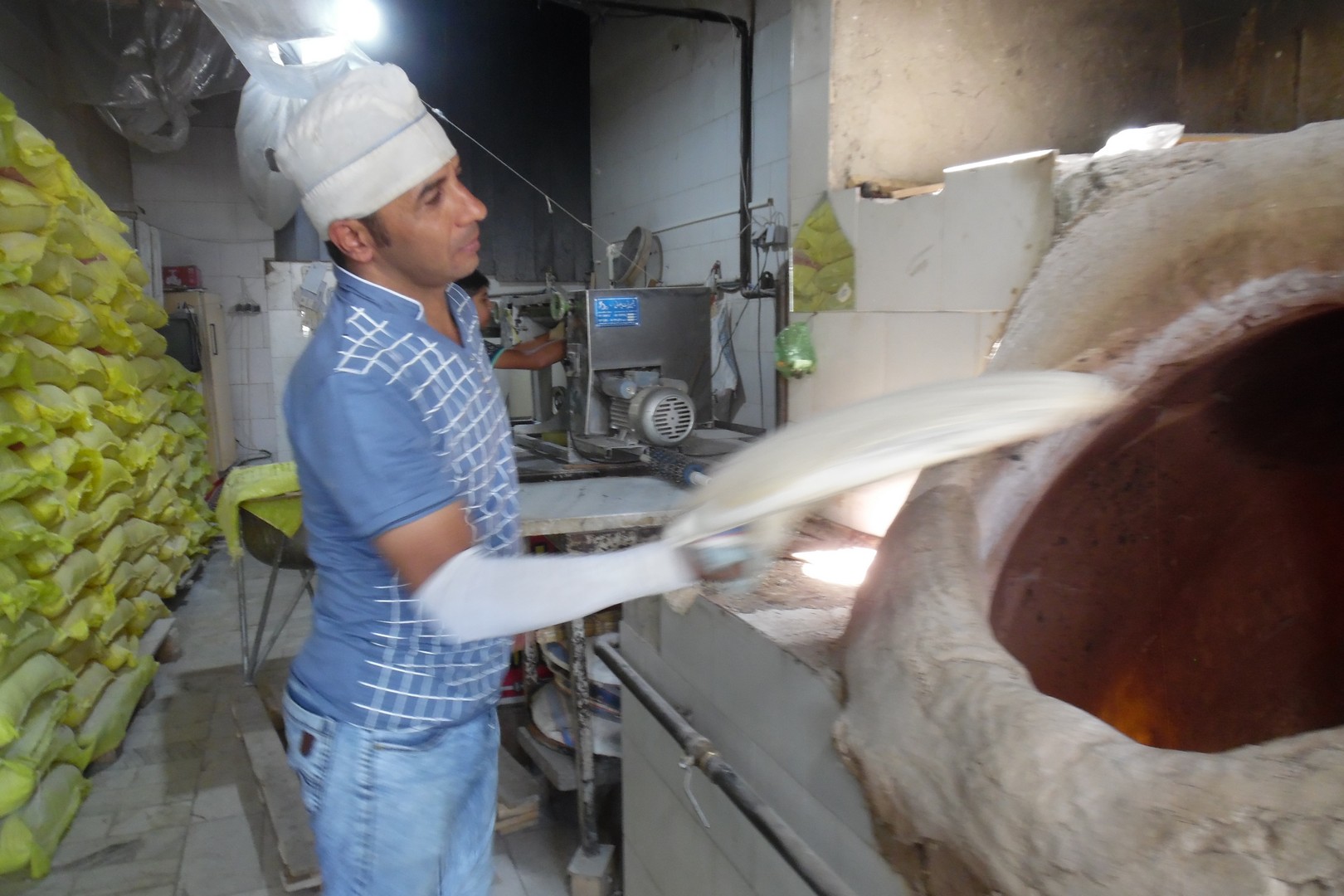 iran voor vegetarier