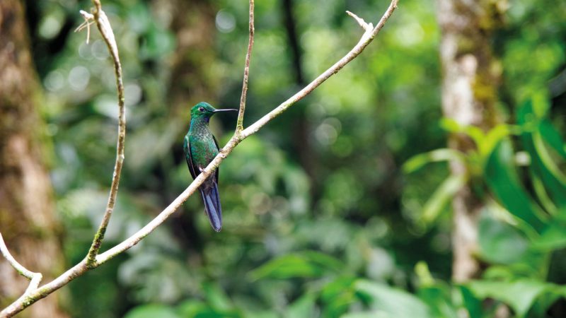 visum costa rica online