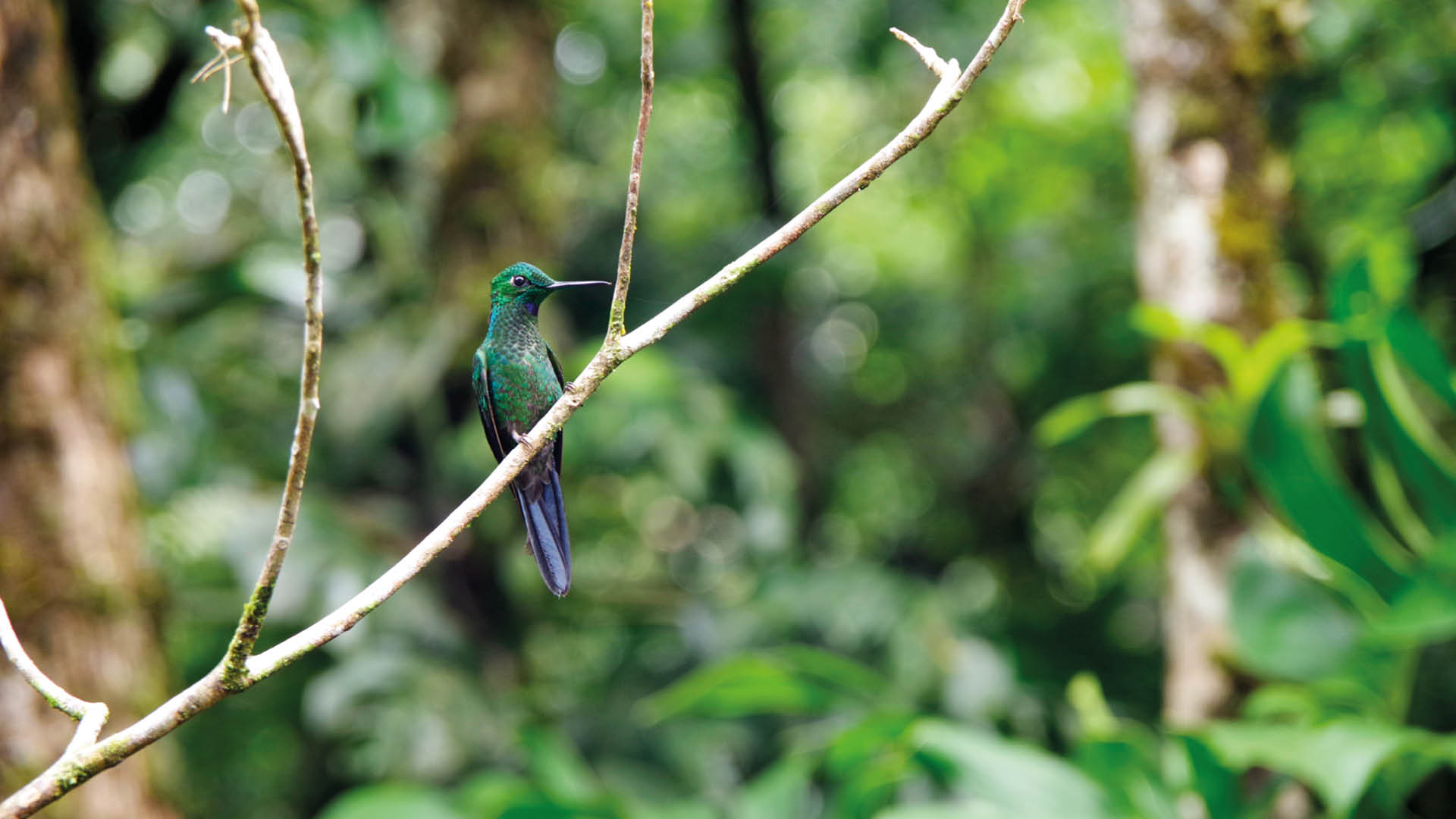 visum costa rica online