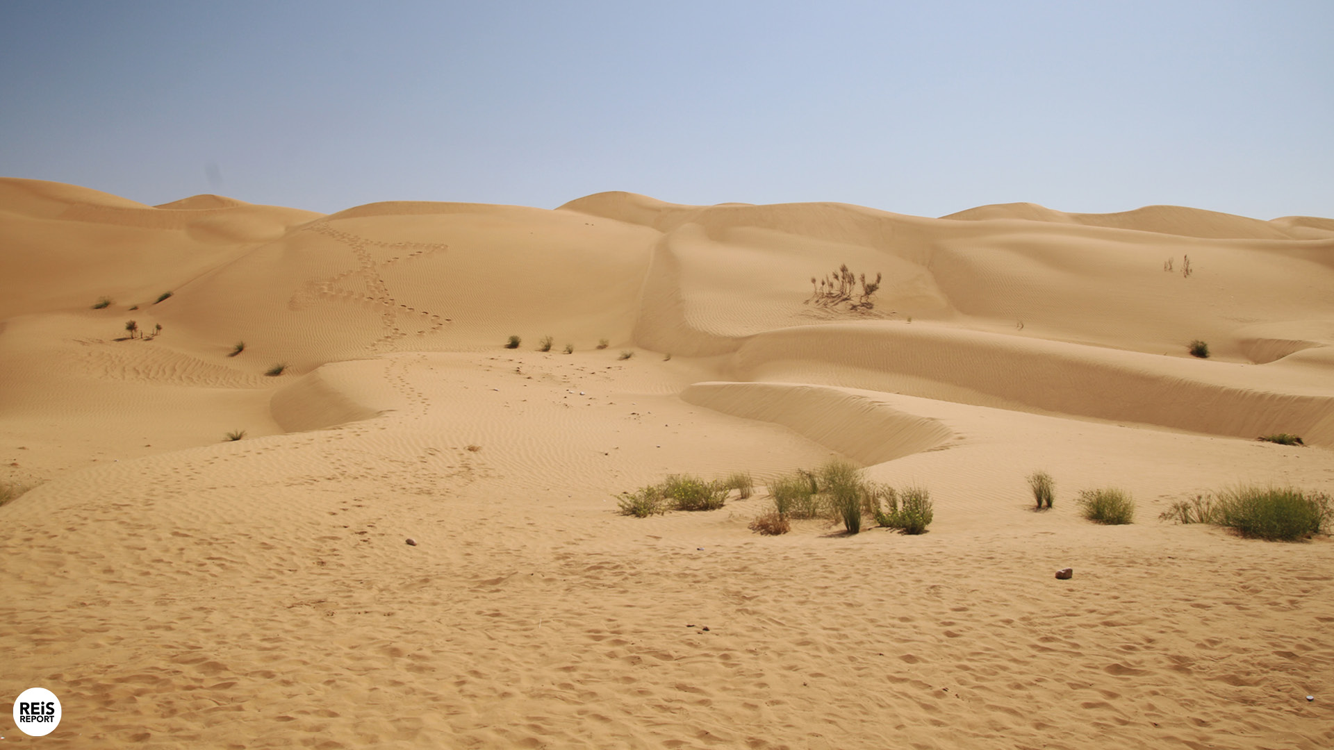 empty quarter