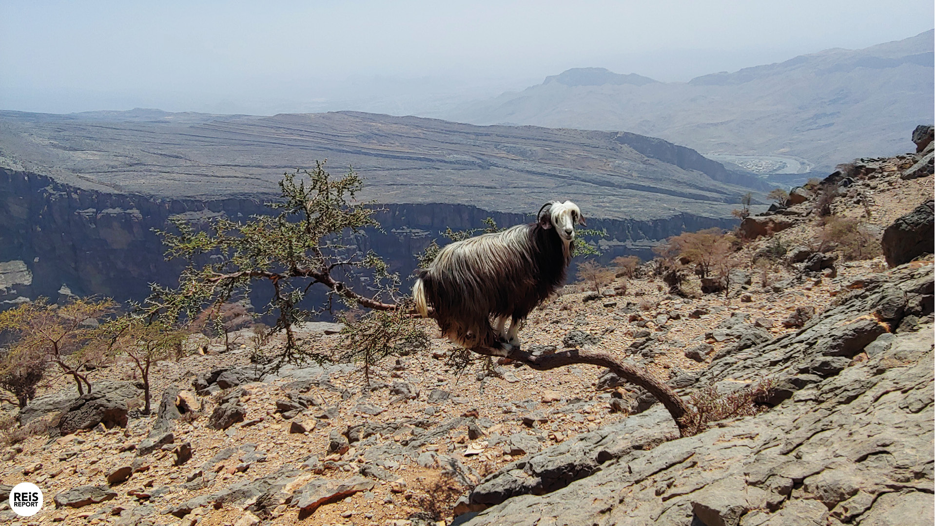 jebel shams balcony walk route