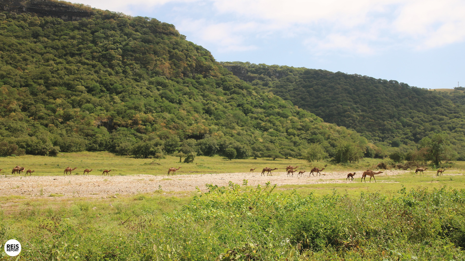 salalah bezienswaardigheden