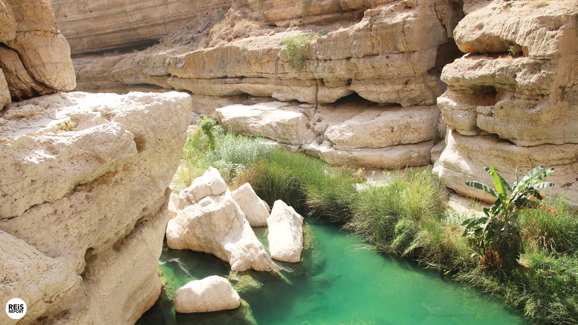 wadi shab oman
