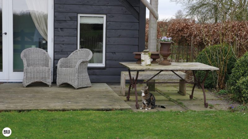 slapen op nr 1 bed en breakfast veluwe