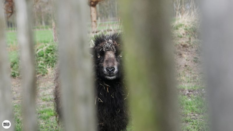 slapen op nr 1 bed en breakfast