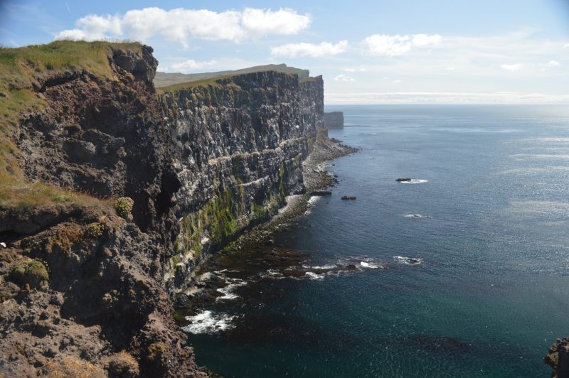 Latrabjarg - de kliffen