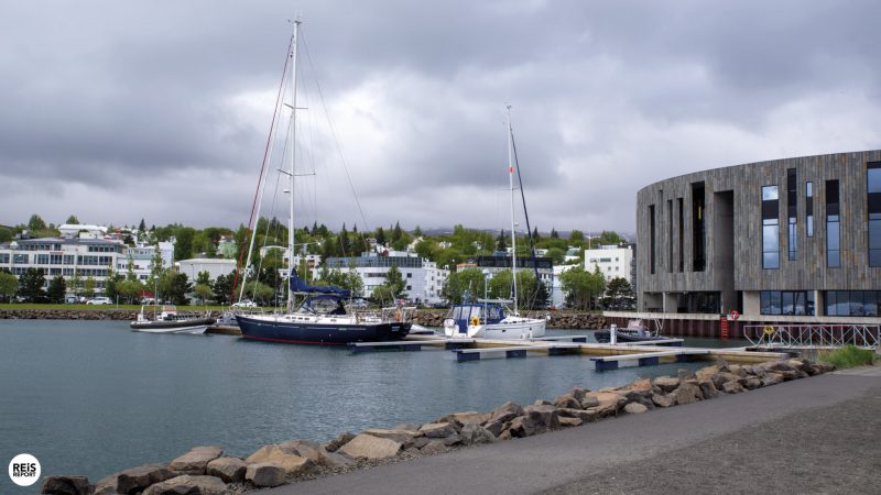 akureyri-ijsland-walvissen