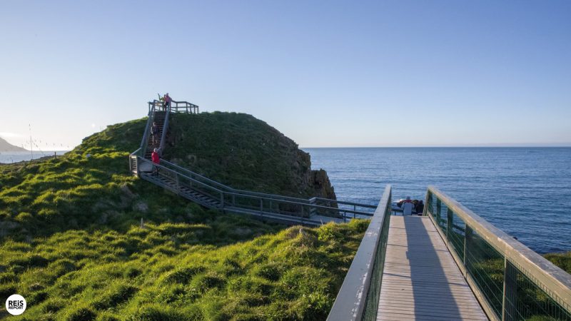 borgarfjordur-eystri-ijsland