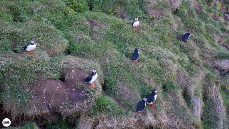 borgarfjordur-eystri-ijsland