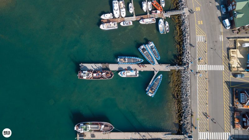 husavik-ijsland-walvissen