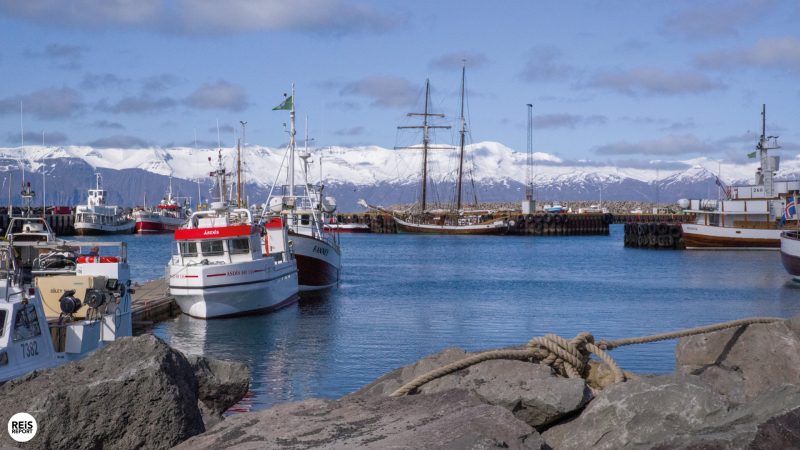 husavik ijsland