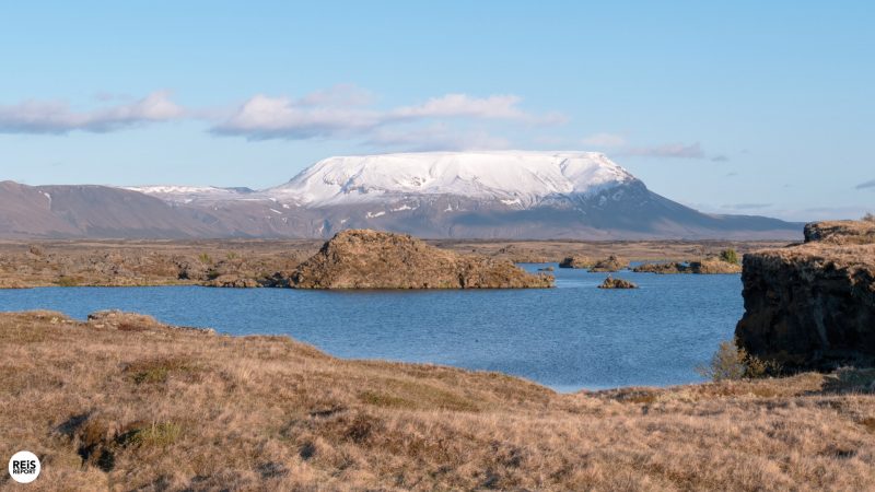 myvatn-meer-ijsland