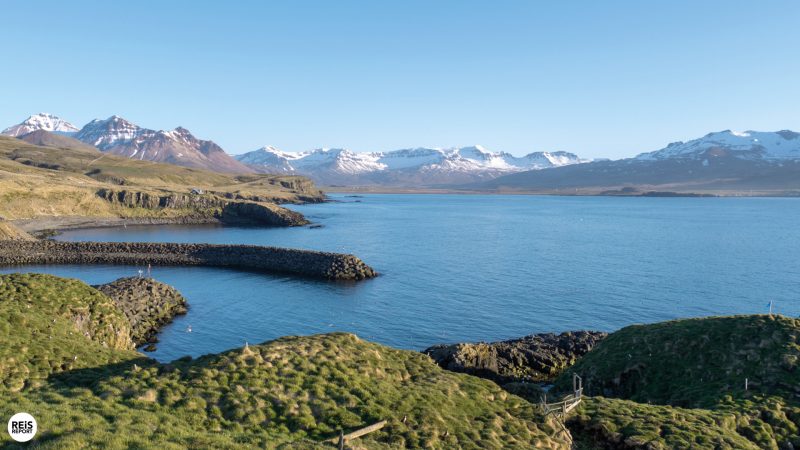 papegaaiduikerseiland-ijsland