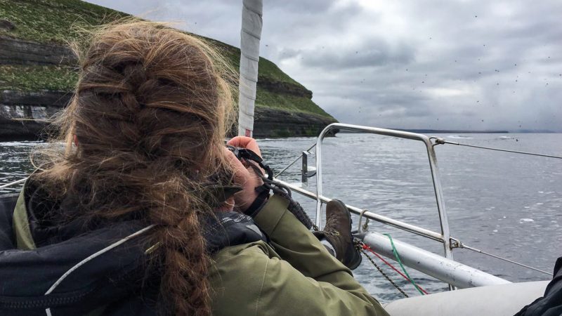 walvissen-onderzoek-ijsland-husavik