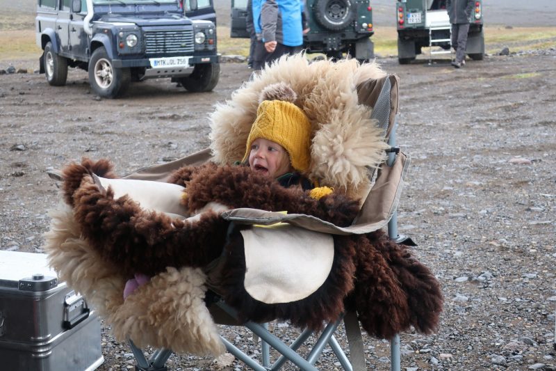 schapenvacht ijsland