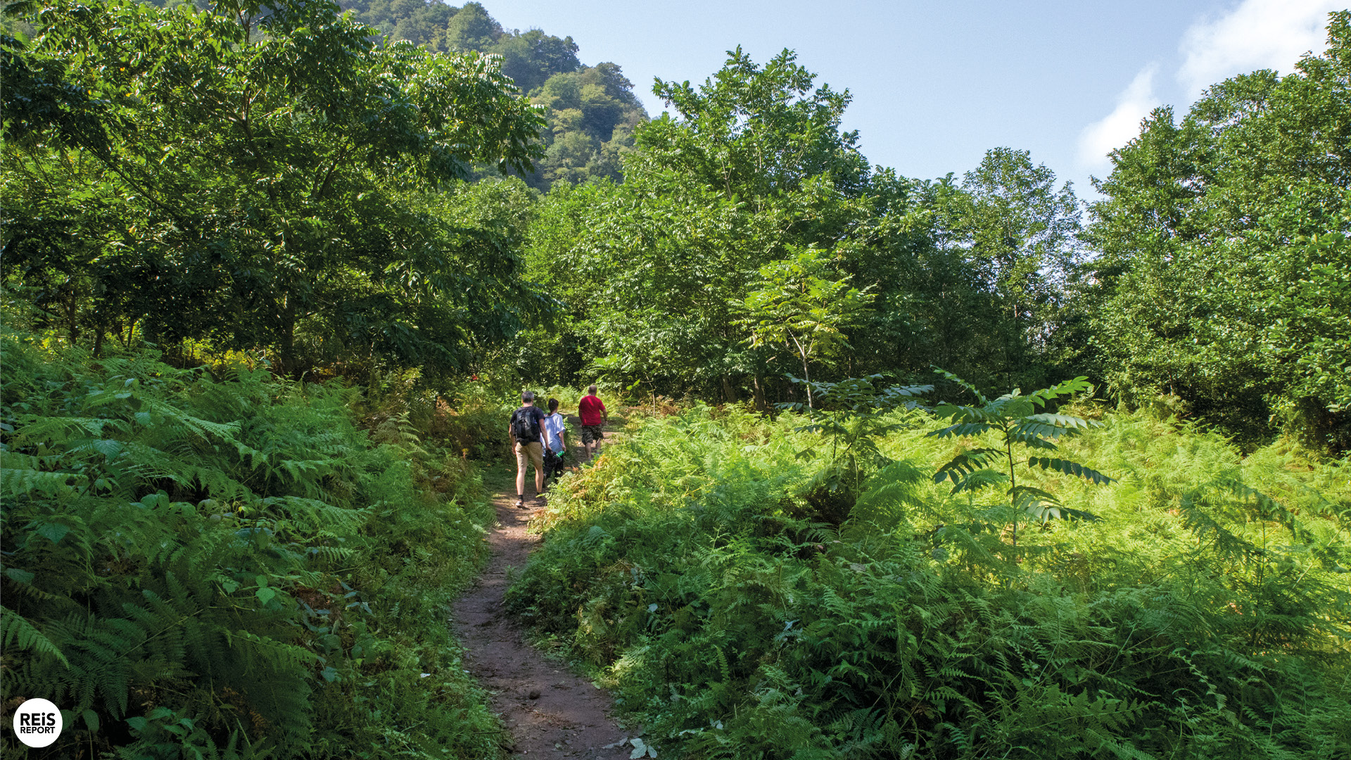 mtirala-park-georgie