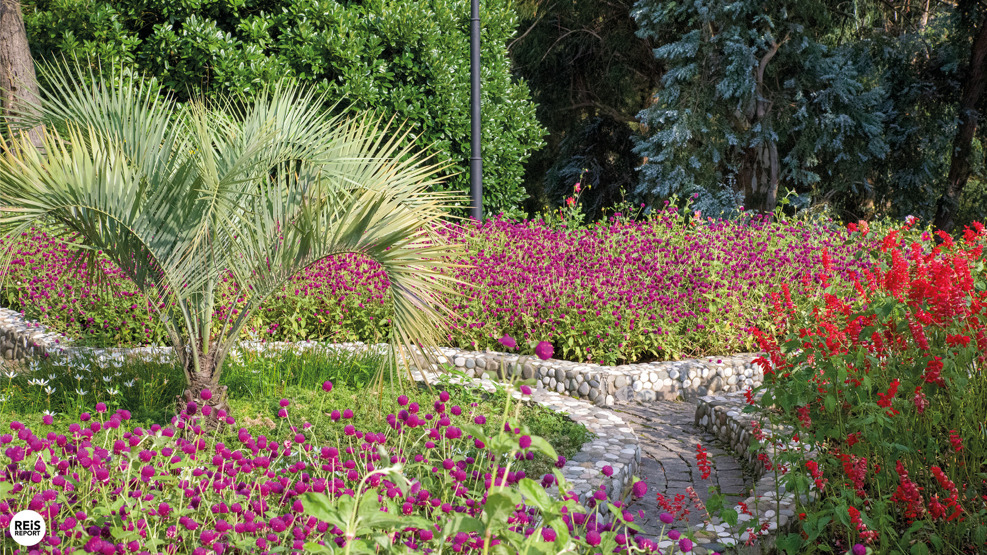 botanische-tuin-georgie-batumi