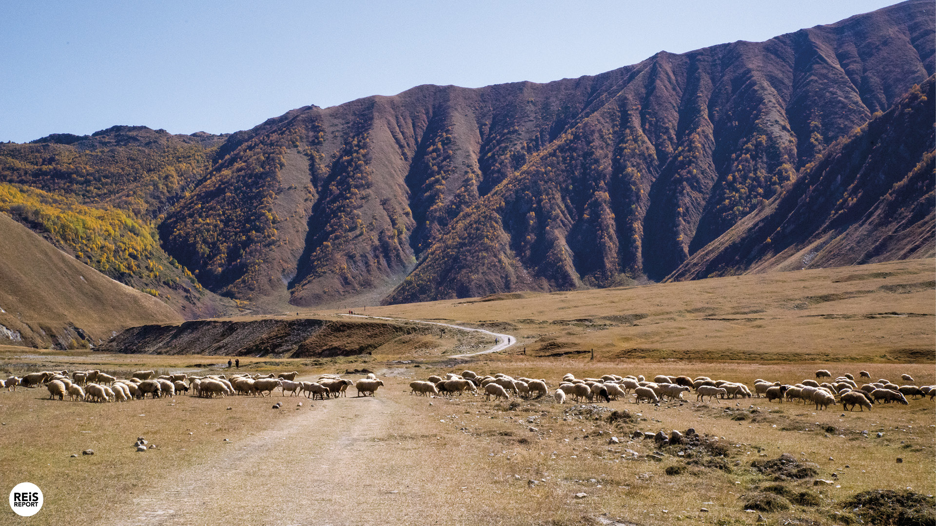 truso-vallei-georgie