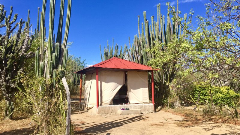 colombia-onvergetelijke-reis-local-hero-travel