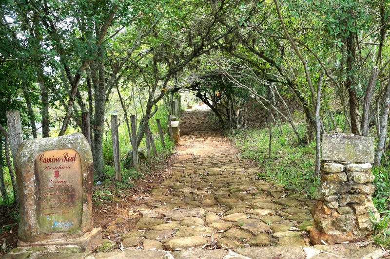 el-camino-real-colombia