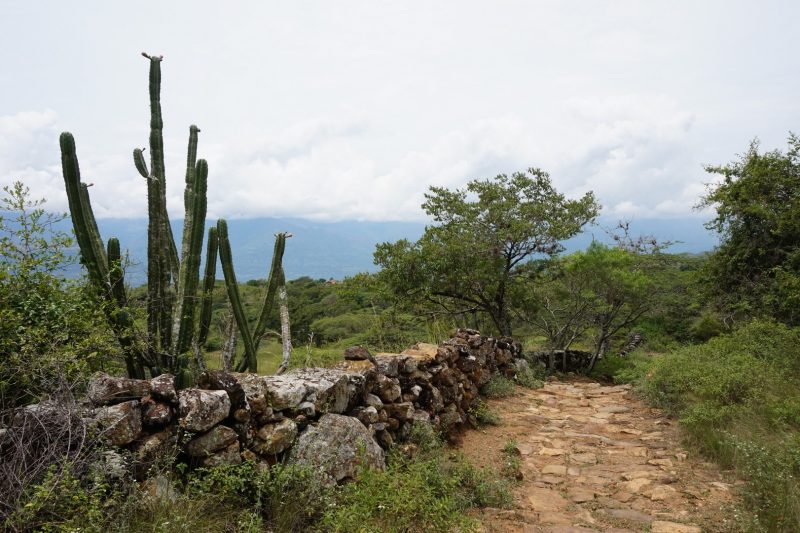 el-camino-real-colombia