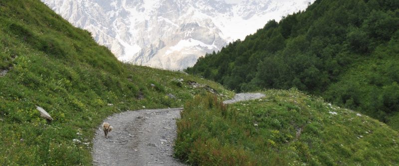georgie-reizen-ushguli