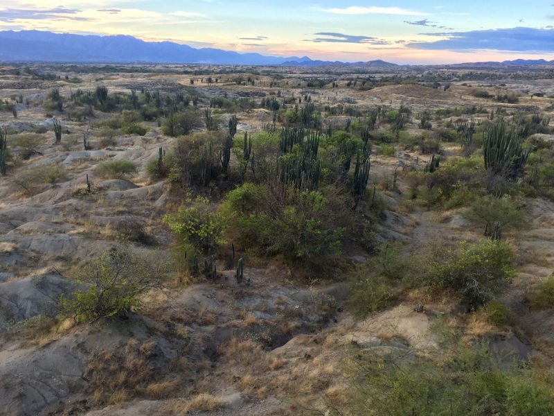 tatacao-woestijn-colombia