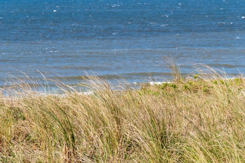 roadtrip-door-zeeland