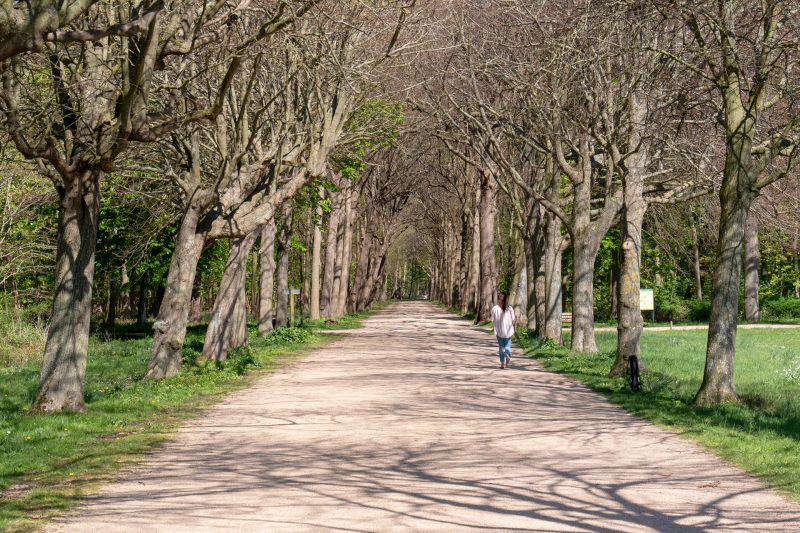 kasteel-westhove-zeeland