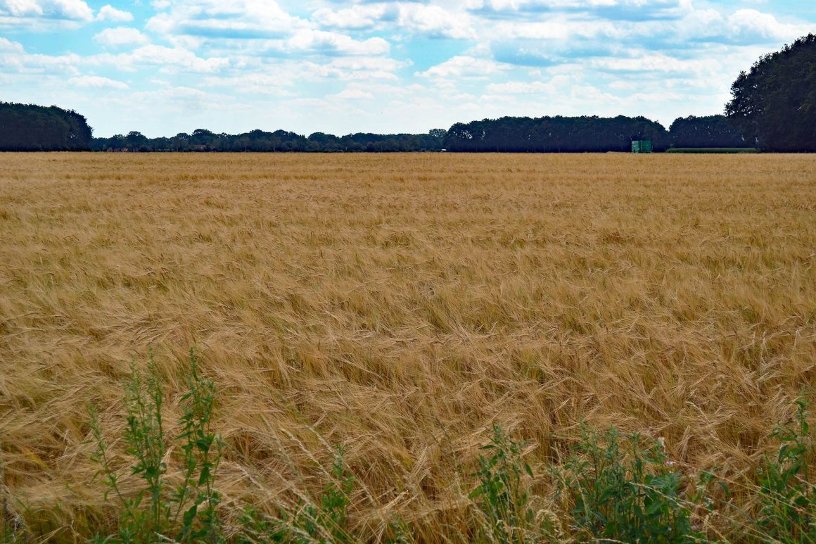 bijvoetpad-wandelroute