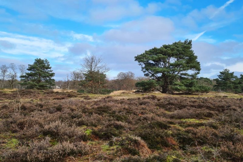 drentsche-aa-wandelen