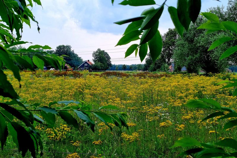 de-doorbraak-tusveld