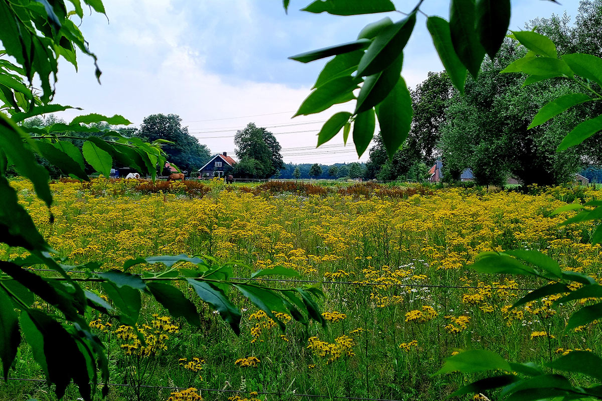 de-doorbraak-tusveld