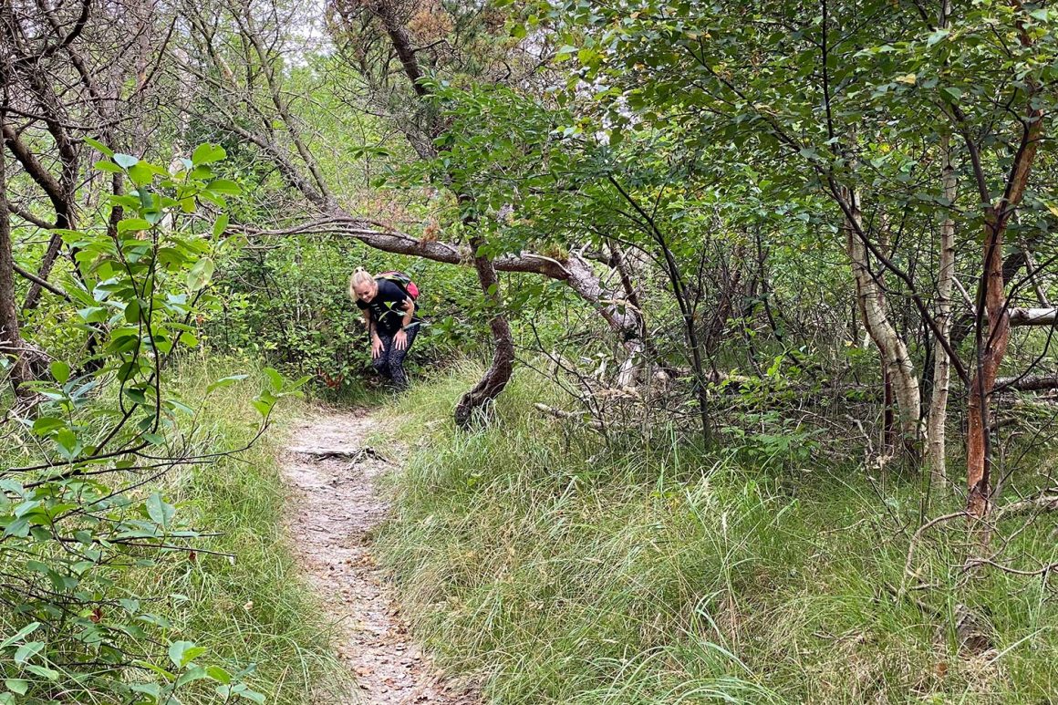 boswachterij-westerschouwen-route