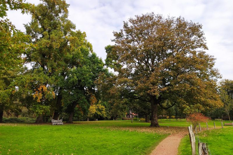 oldenzaal-rondwandeling-kalheupink