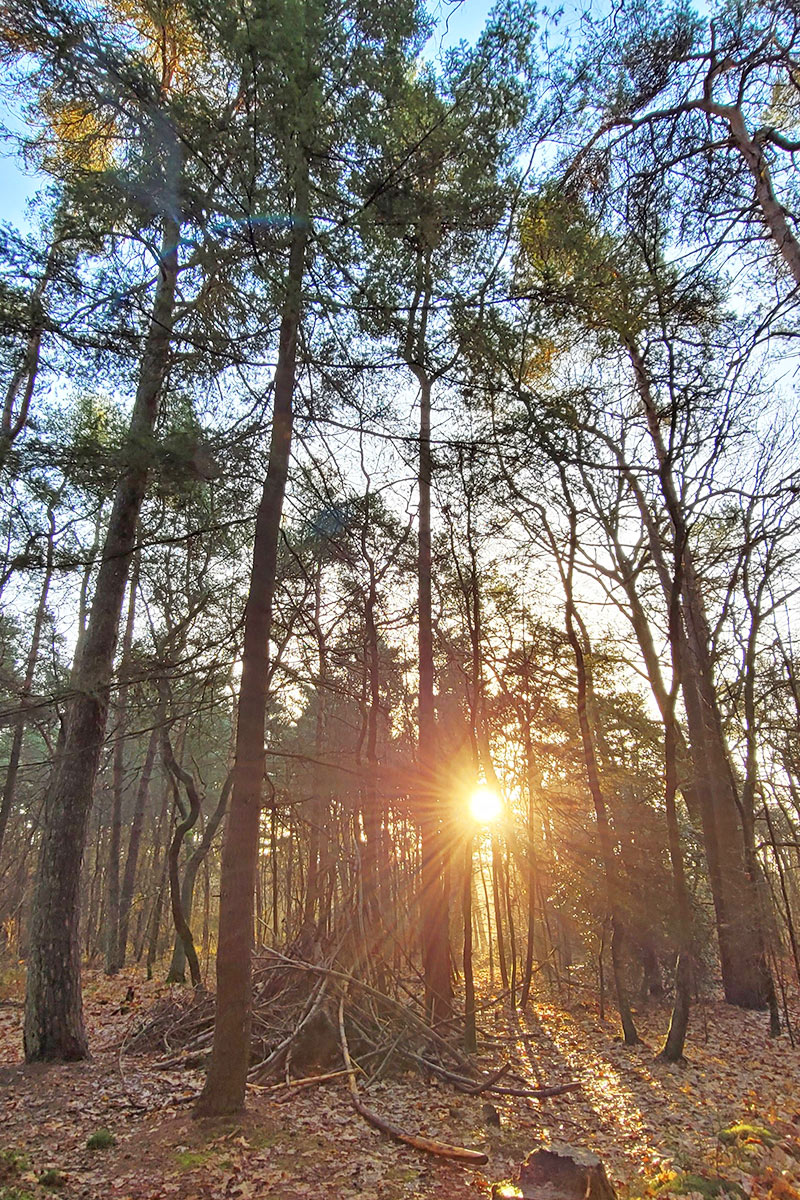 liefdespad-ruurlo-wandelroute