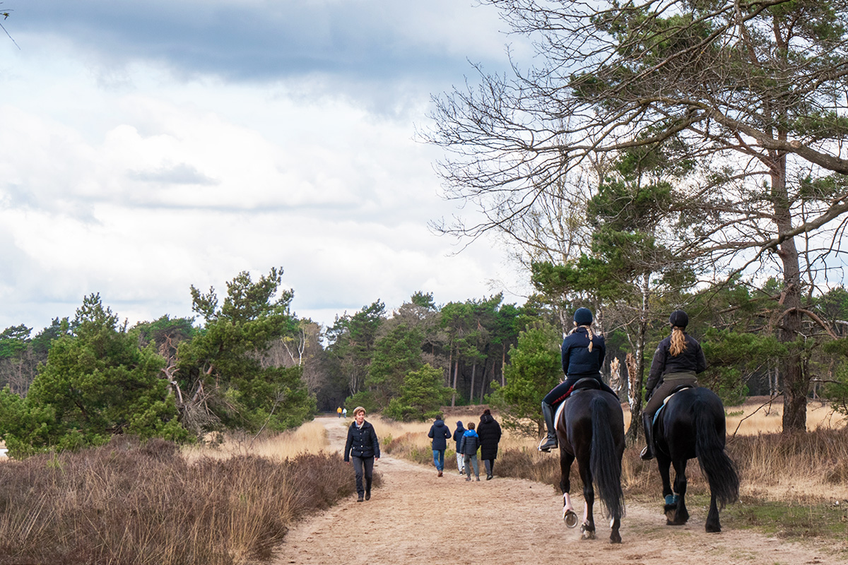 oisterwijk-boxtel-wandeling