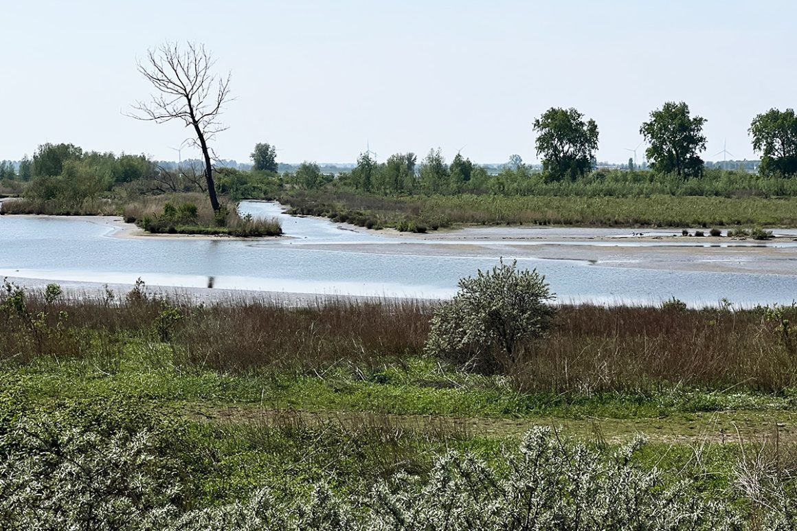 tiengemeten_bezoeken