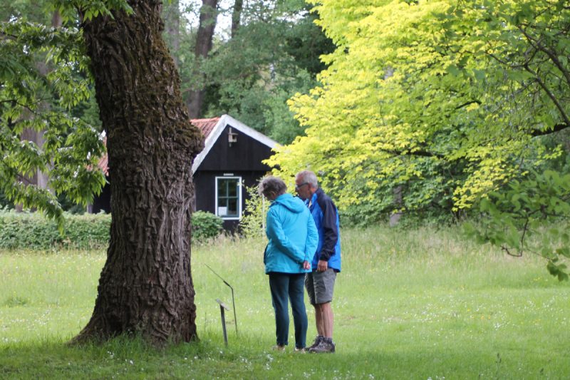 arboretum-poort-bulten-twente