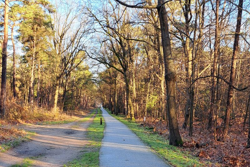 schwarzwald-nederland-wandeling